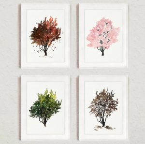 Read more about the article Dogwood Tree Four Seasons. Symbolic Cycle of Life