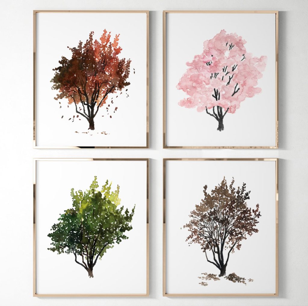 Dogwood Tree Four Seasons. Symbolic Cycle of Life