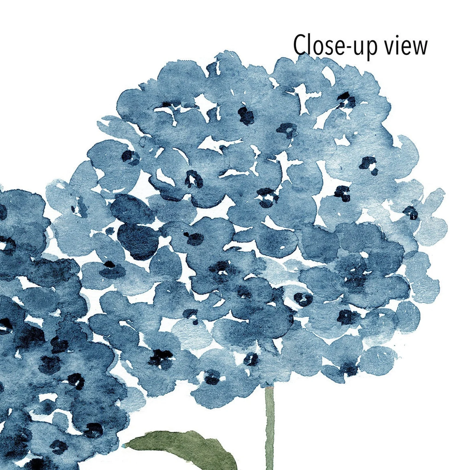 Hydrangea- rustic-art-print Hydrangea-rustic-art-print