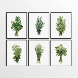 Botanical Herb Watercolor Set of 6 Natural Wall Art Cozy Home Decor Gift.