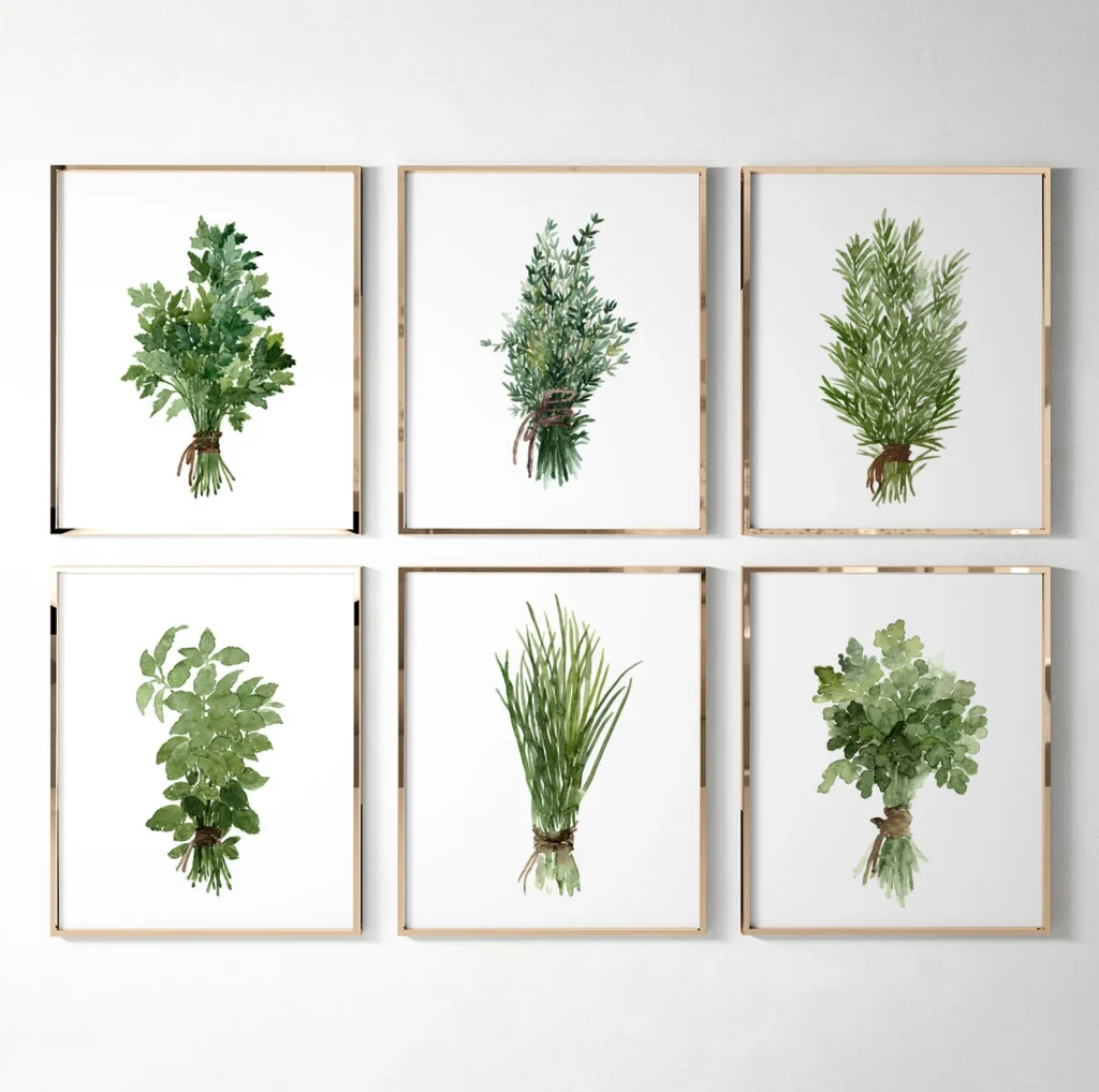 Set of 6 Botanical Herb Prints