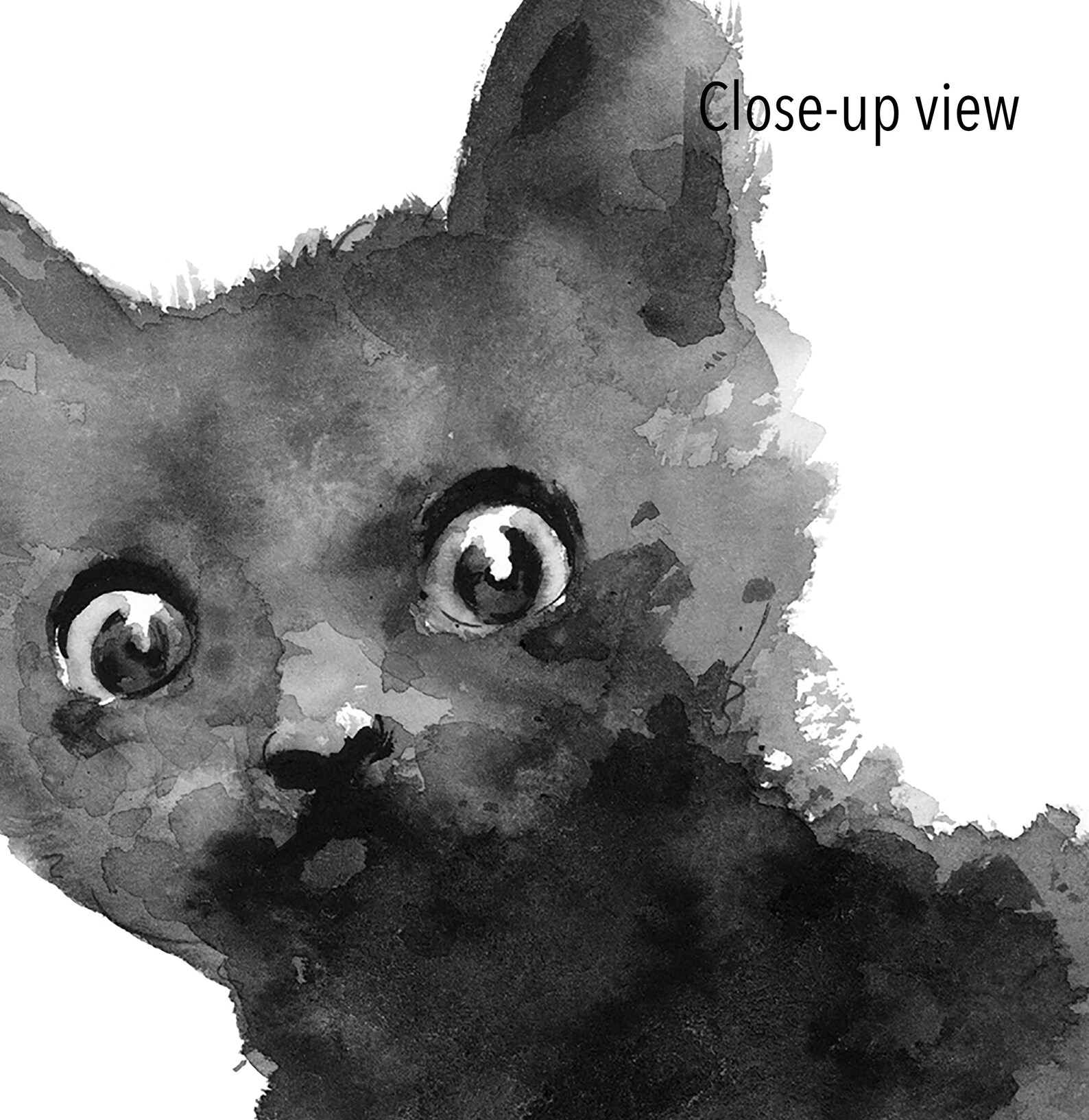 Black-Cat-watercolor Black-Cat-watercolor